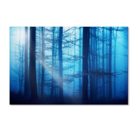Trademark Fine Art Philippe Sainte-Laudy 'Light Box Blues' Canvas Art, 12x19 PSL0272-C1219GG